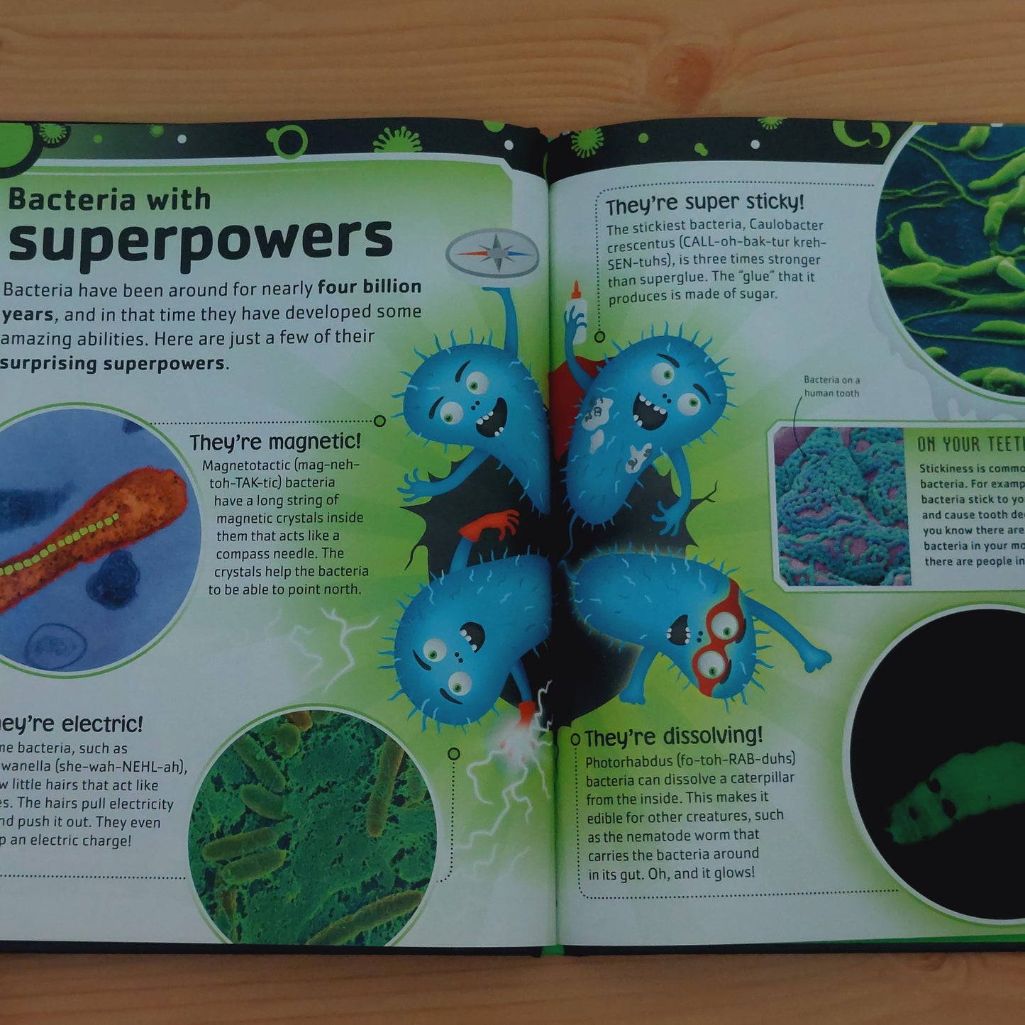 The Bacteria Book - The Big World of Really Tiny Microbes