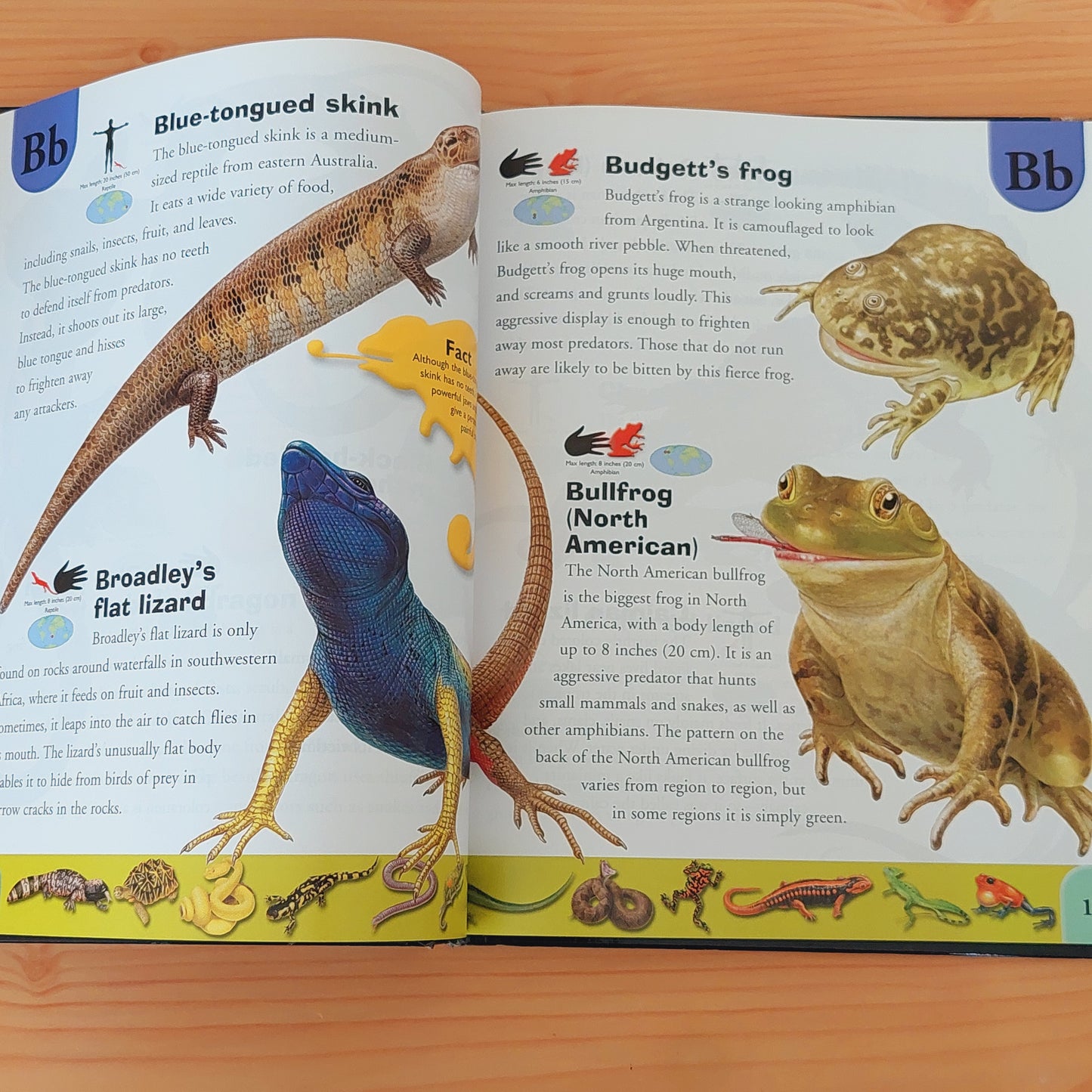 Reptiles and Amphibians Dictionary