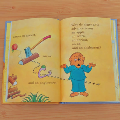 Berenstains' A Book