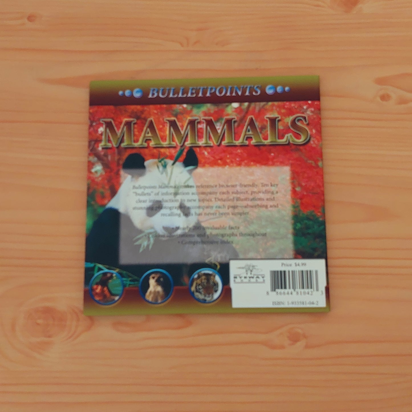 Mammals (Bulletpoints)