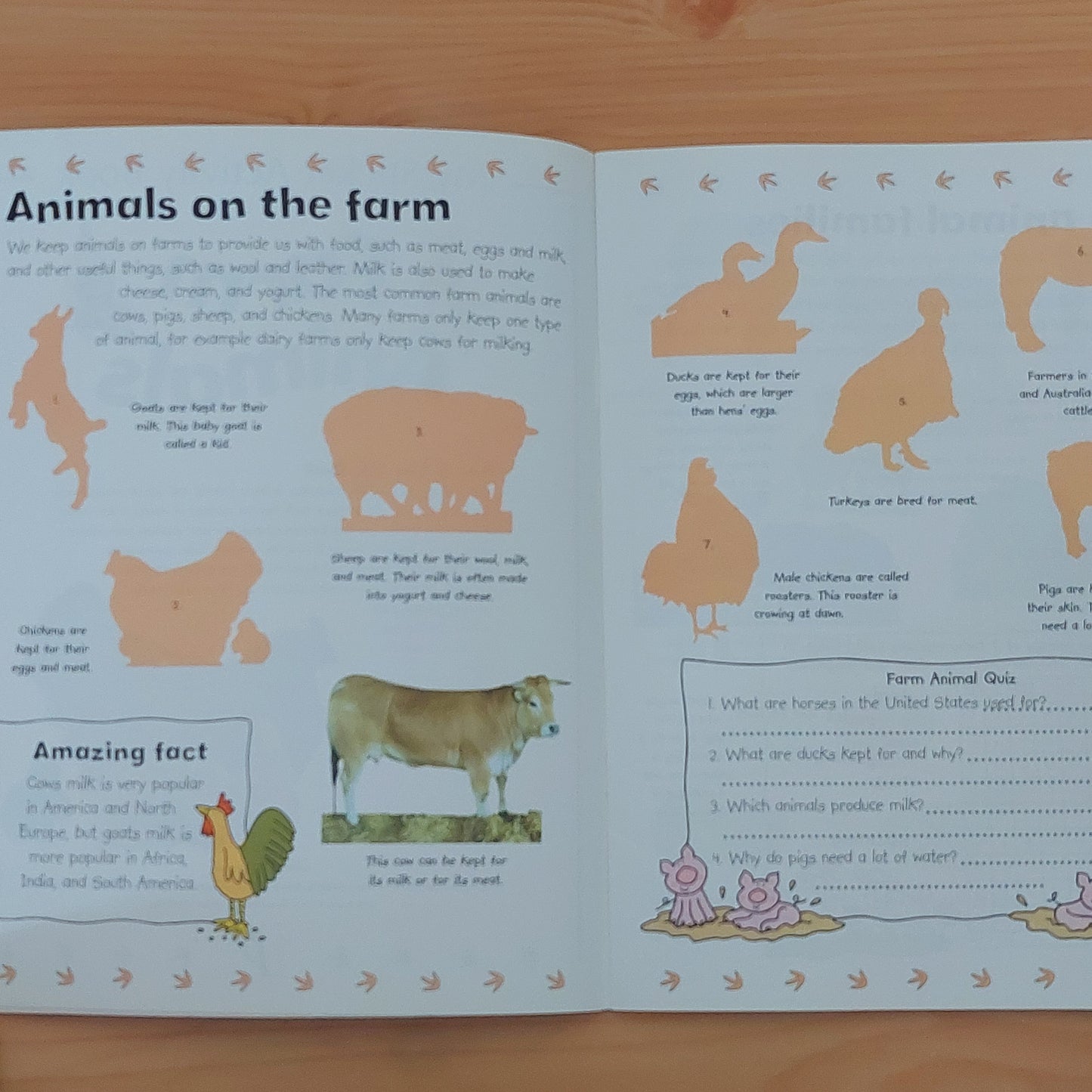 Farm Animals - My First Activity Book