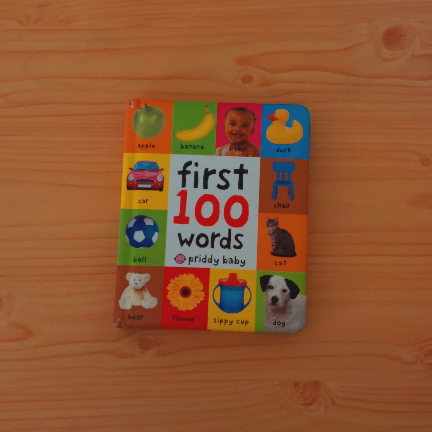 First 100 Words (Priddy Baby)