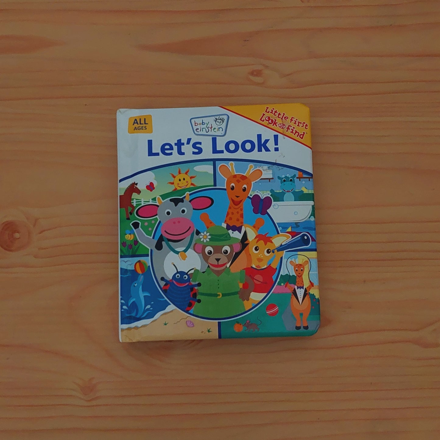 Baby Einstein: Let's Look!  (Little First Look and Find)