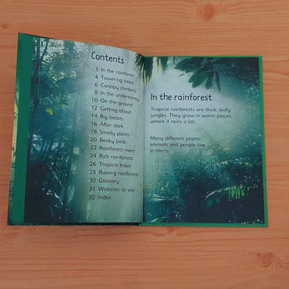 Rainforests (Usborne)