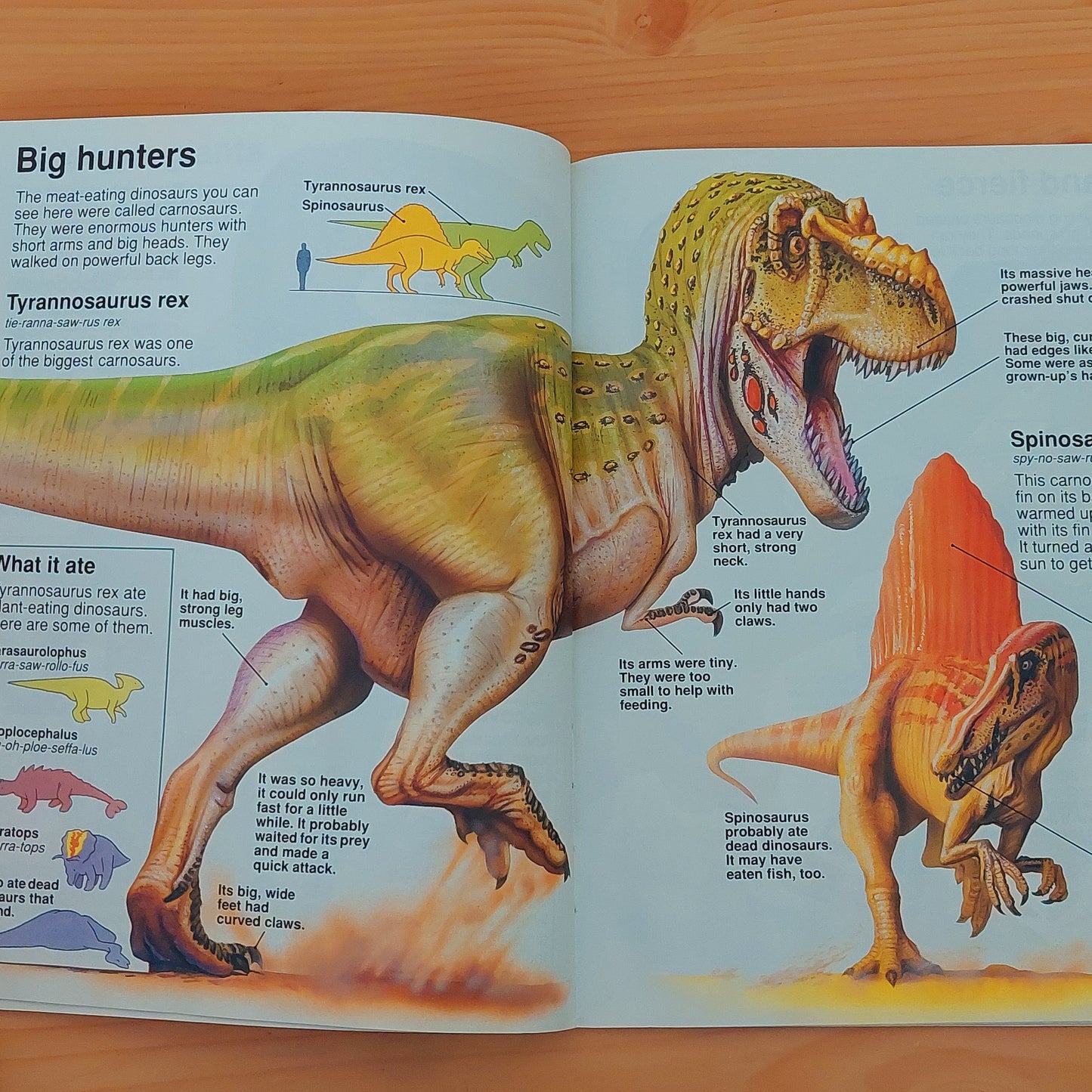 The Usborne Book of Dinosaurs