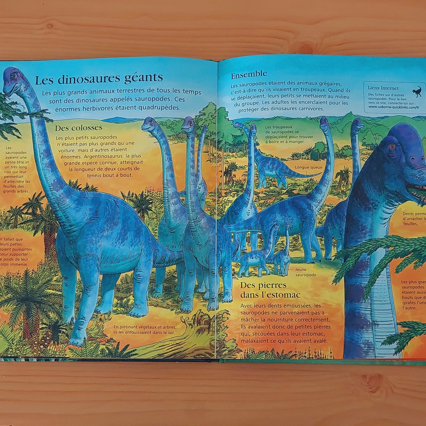 Ma première encyclopédie des dinosaures et du monde préhistorique