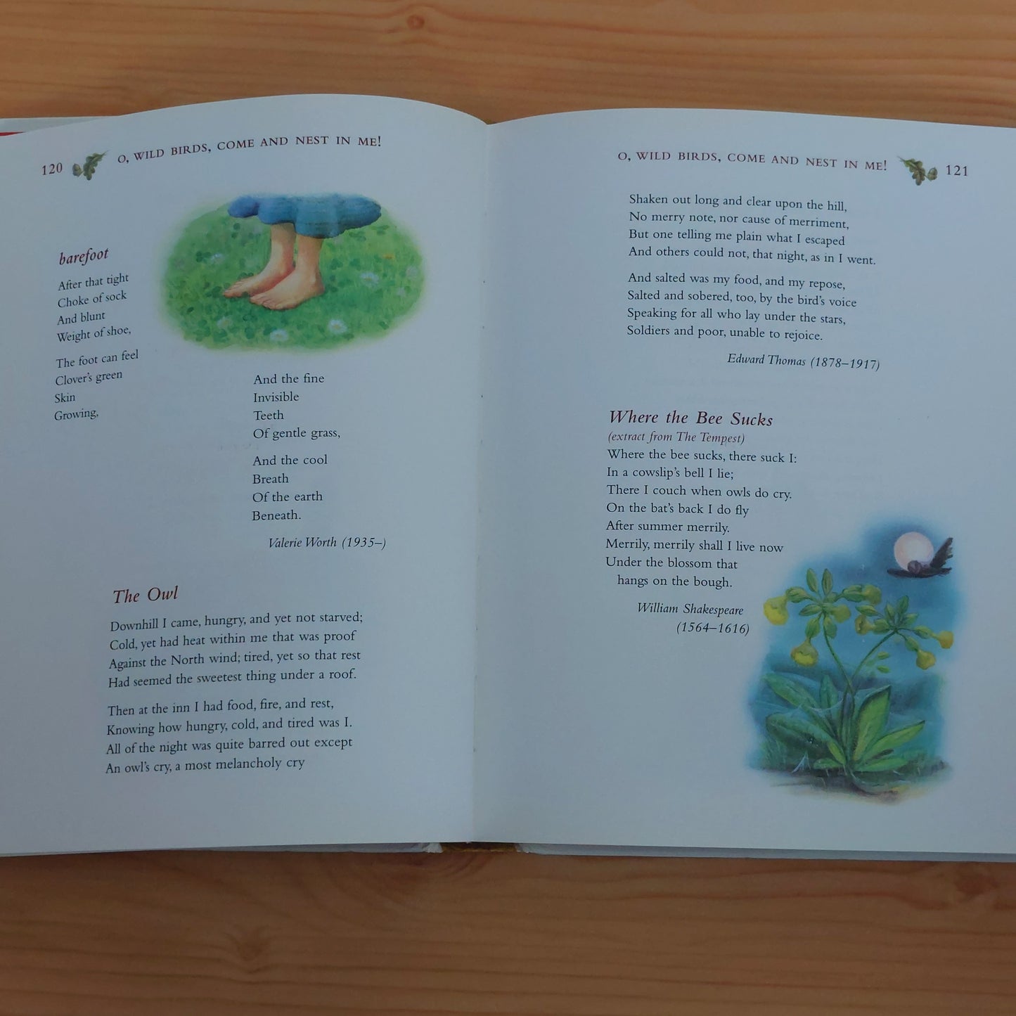 Treasury of Poetry for Children