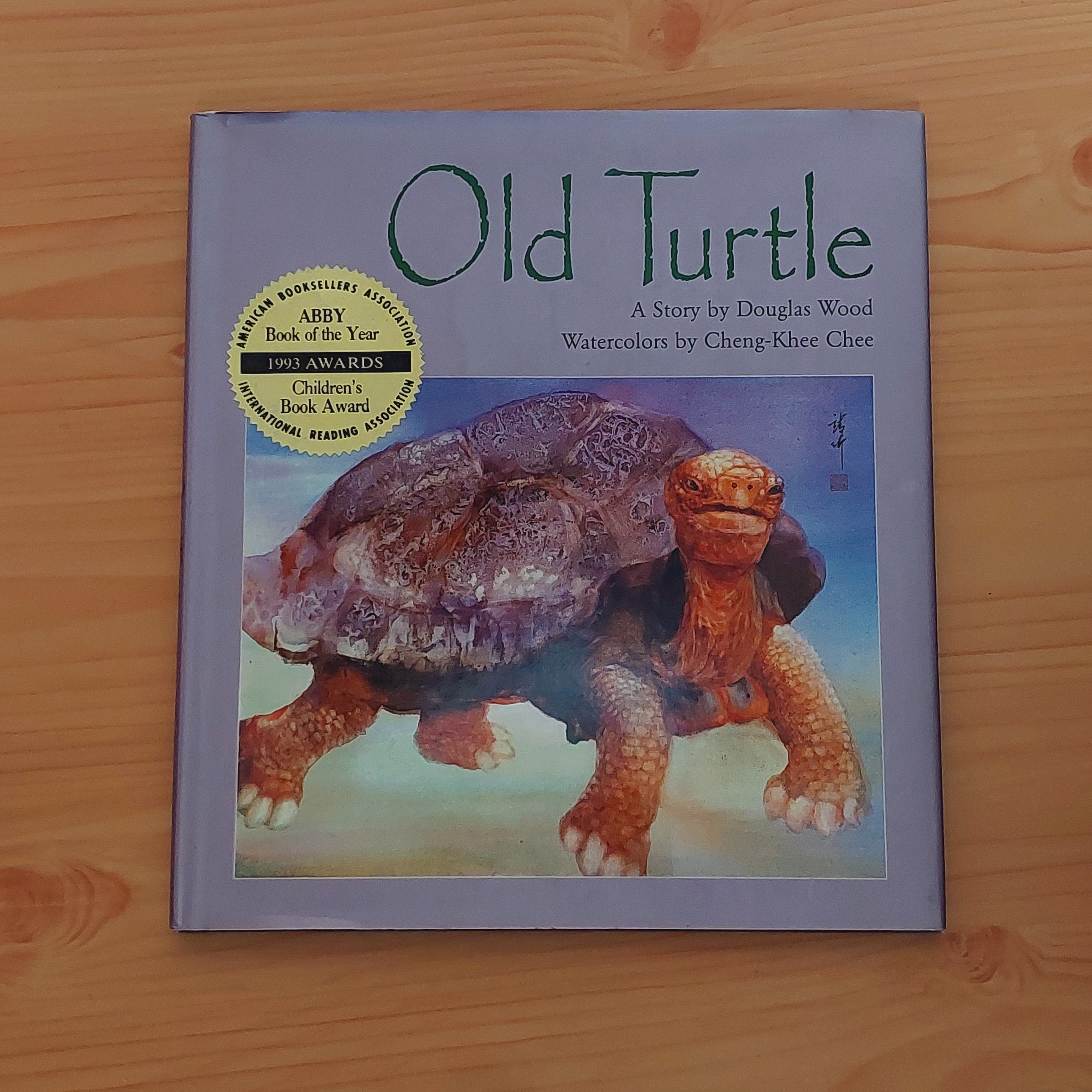 Old Turtle – Childhood Ink