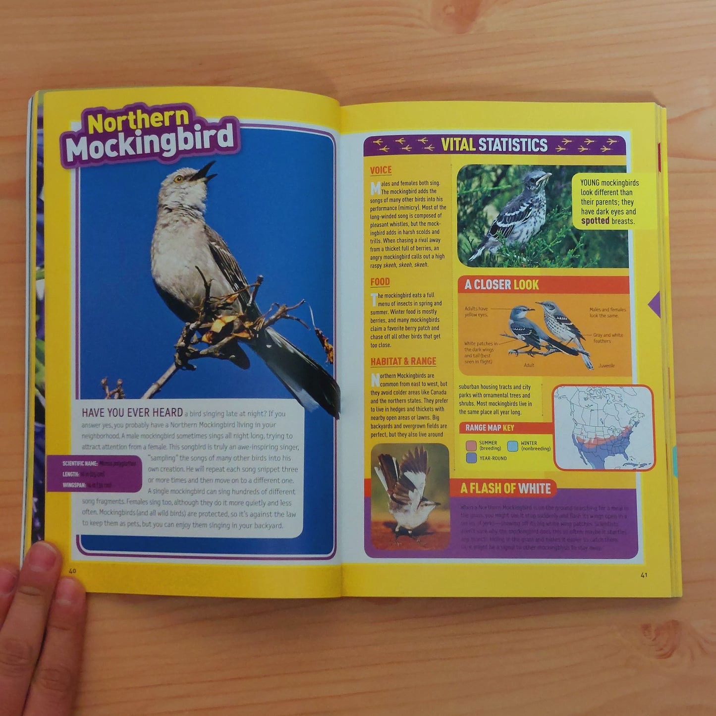 Bird Guide of North America (National Geographic Kids)