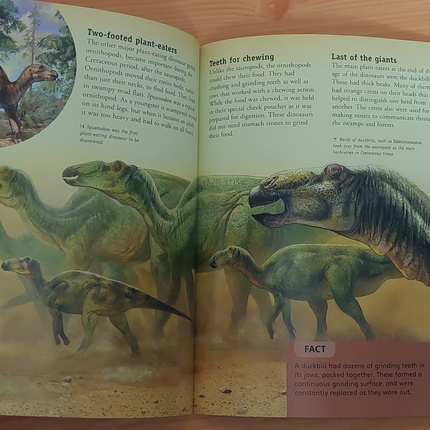 Dinosaurs (Face to Face)