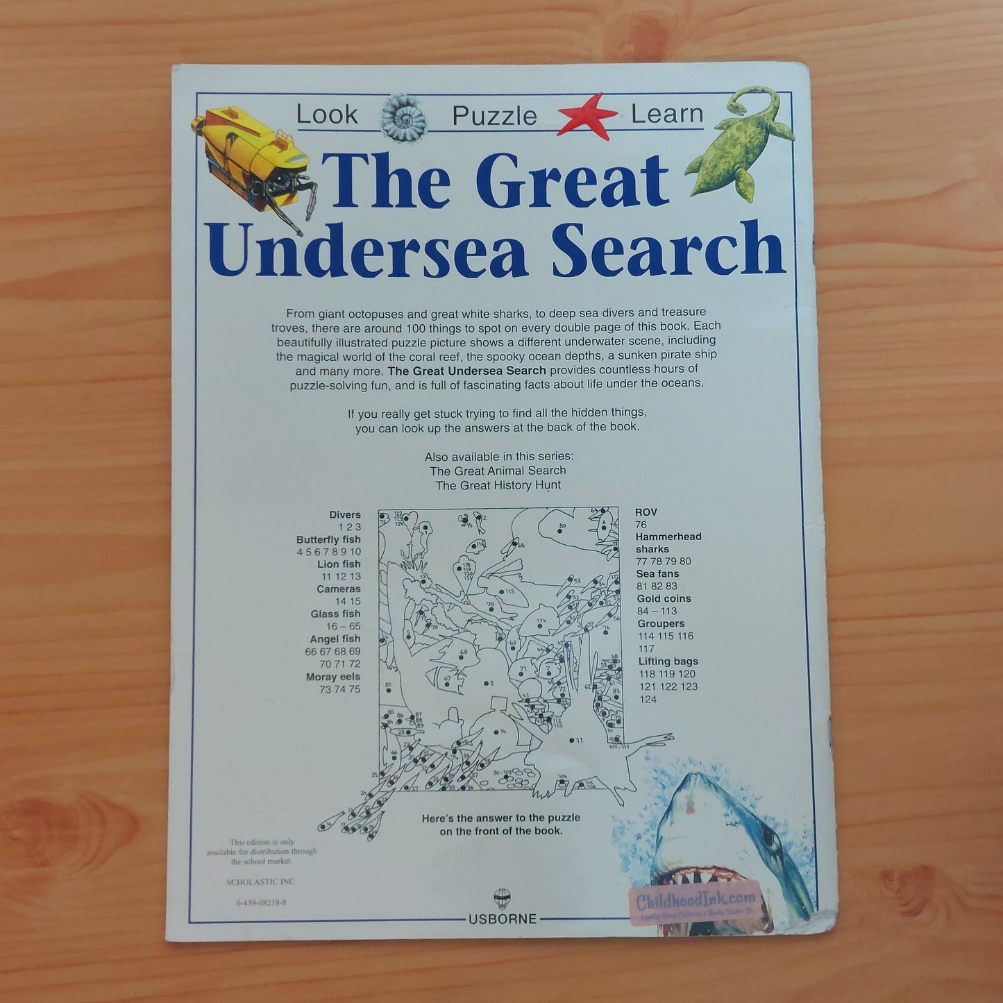 The Great Undersea Search