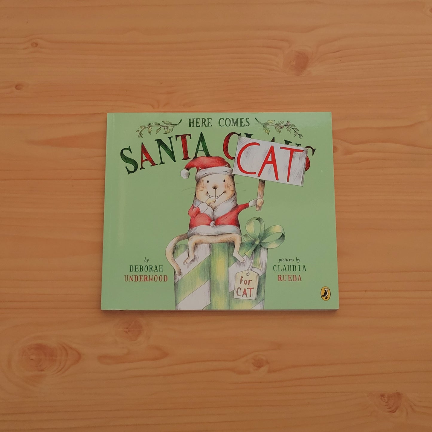 Here Comes Santa Cat