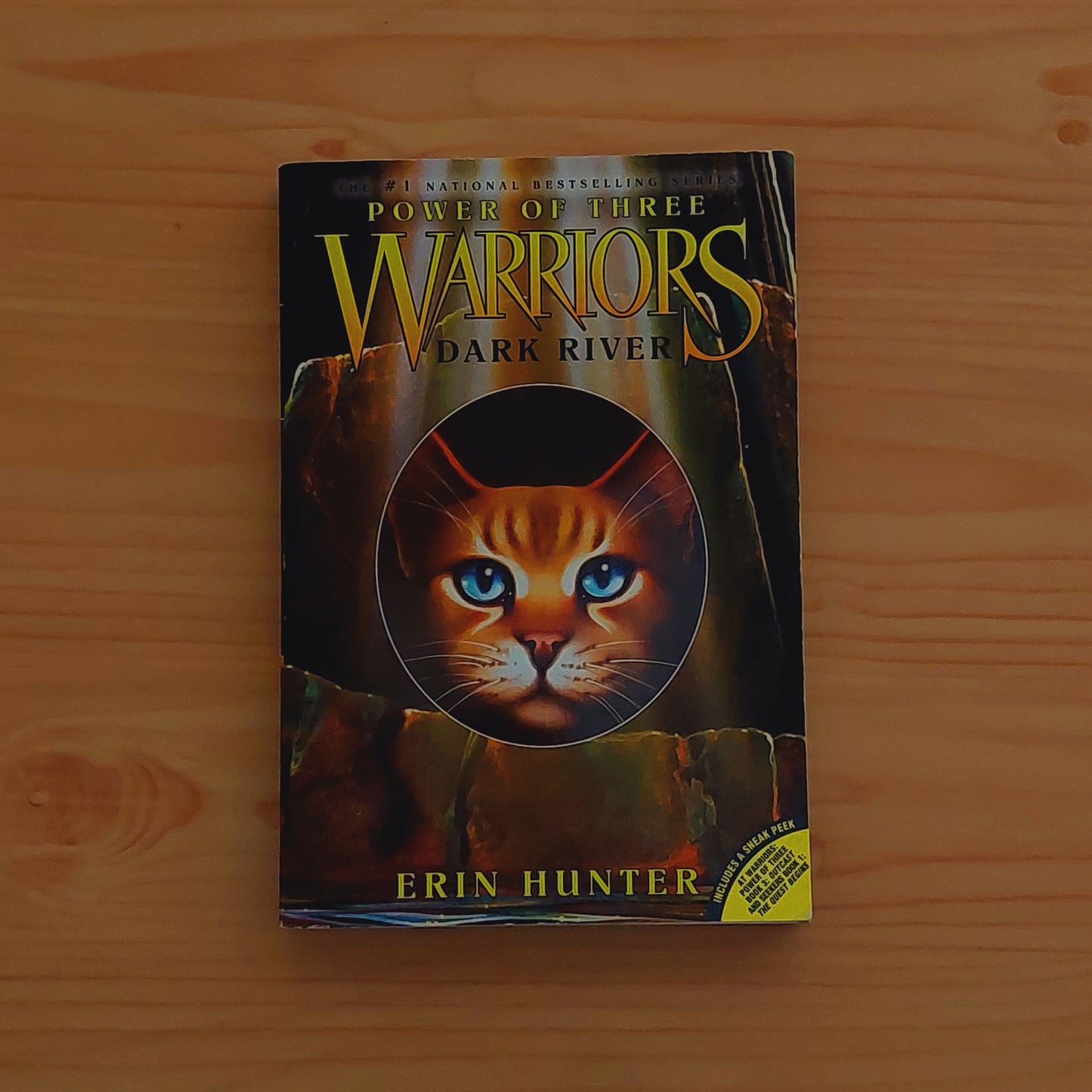 Warriors: Dark River (Power of 3 #2)