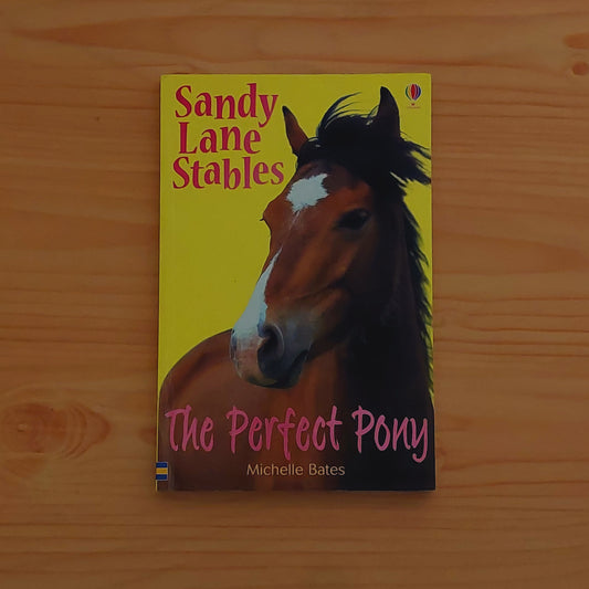 Sandy Lane Stables - The Perfect Pony