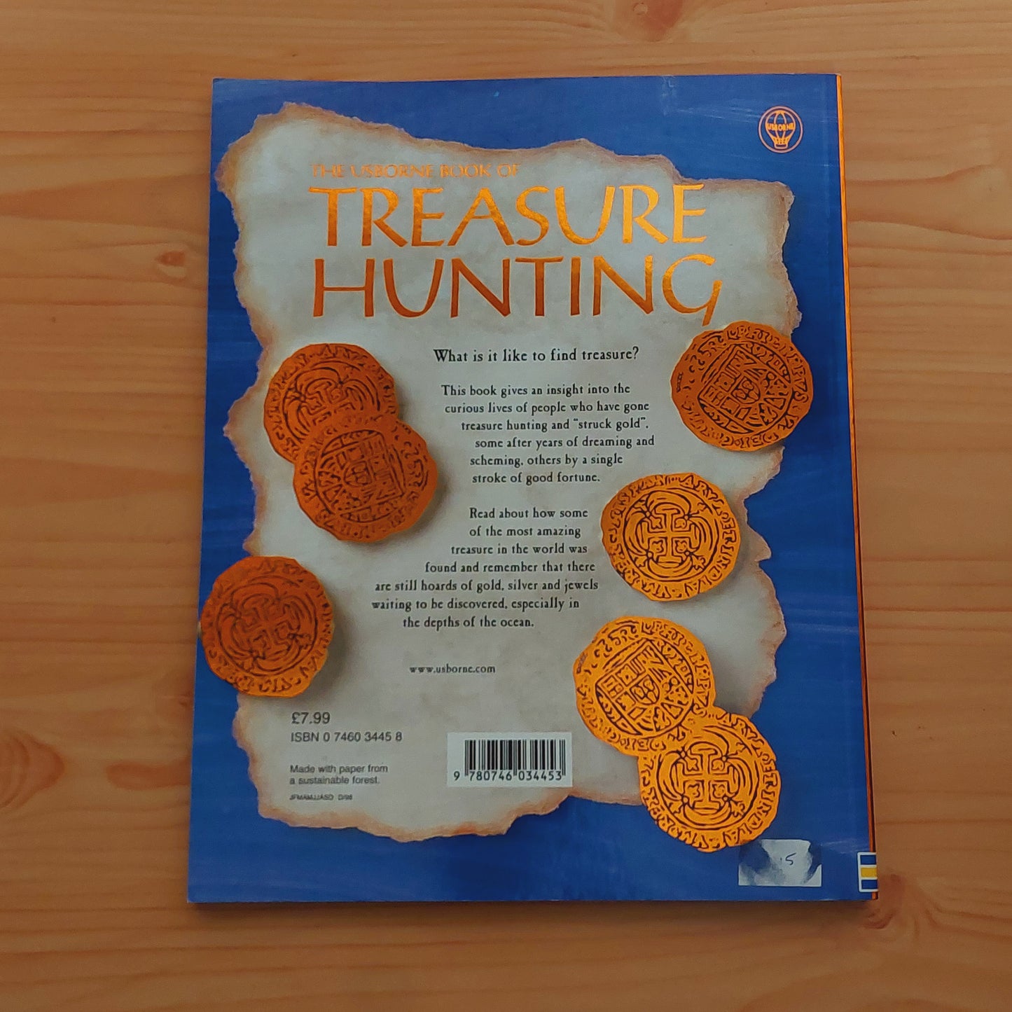 Treasure Hunting (Usborne)