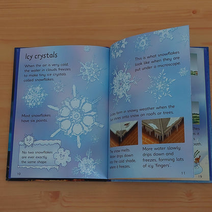 Weather (Usborne Beginners)