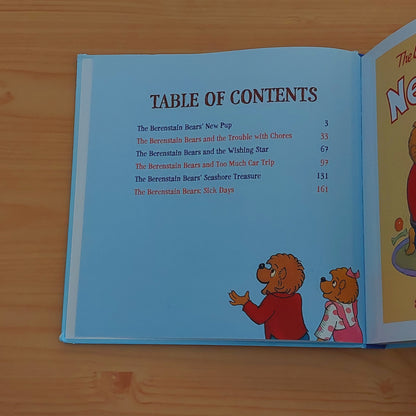 The Berenstain Bears - Storybook Treasury