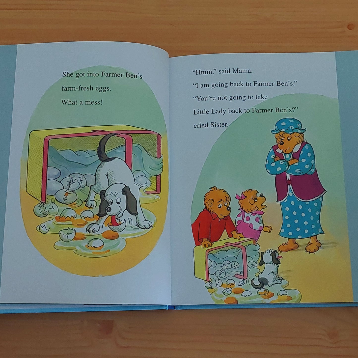 The Berenstain Bears - Storybook Treasury