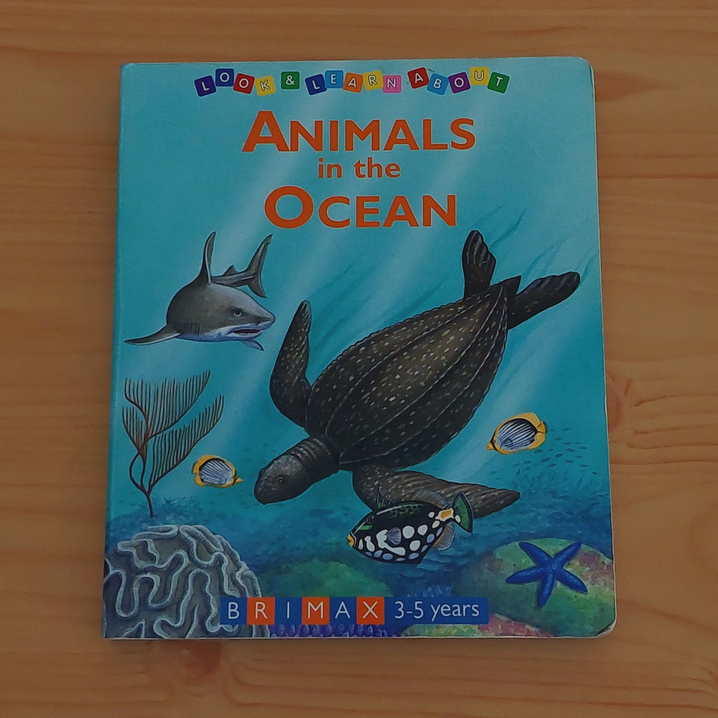 Animals in the Ocean – Childhood Ink