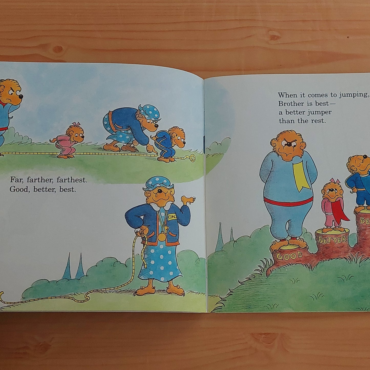 The Berenstain Bears - Ready, Set, Go!