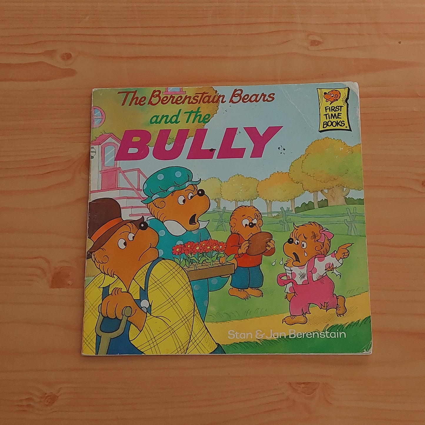 The Berenstain Bears and the Bully