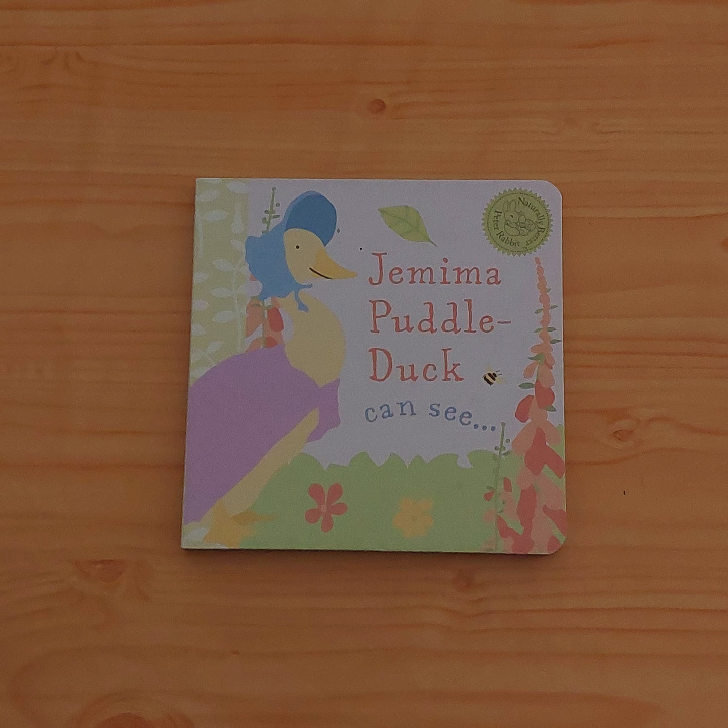 Jemima Puddle-Duck Can See