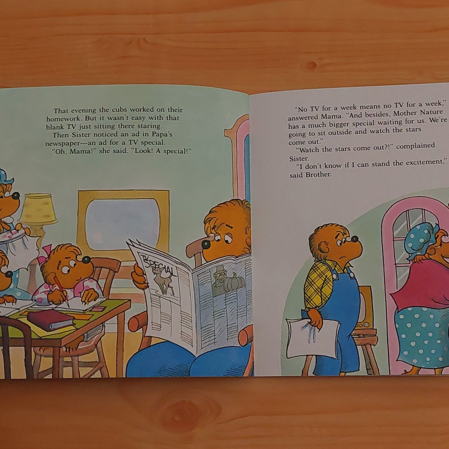 The Berenstain Bears and Too Much TV