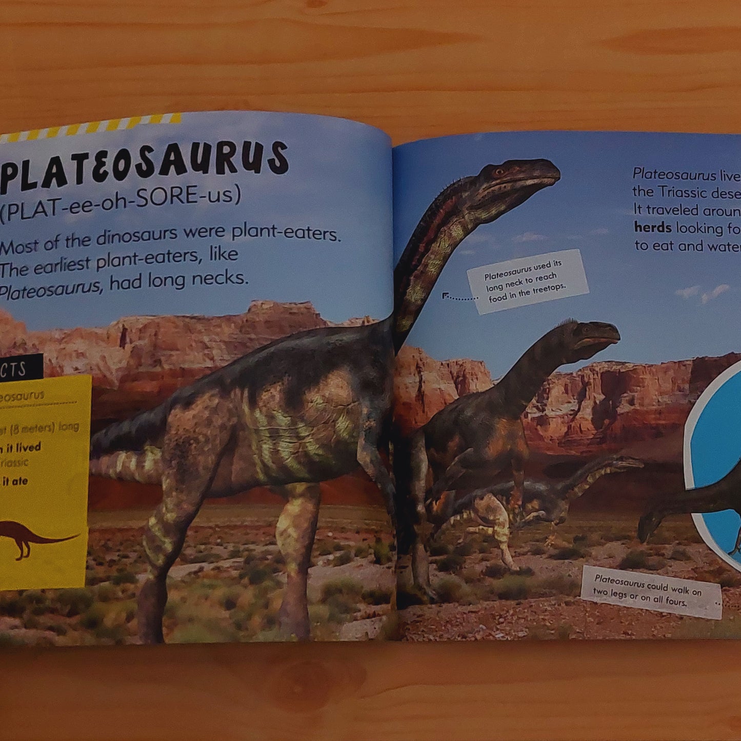 My Little Book of Dinosaurs