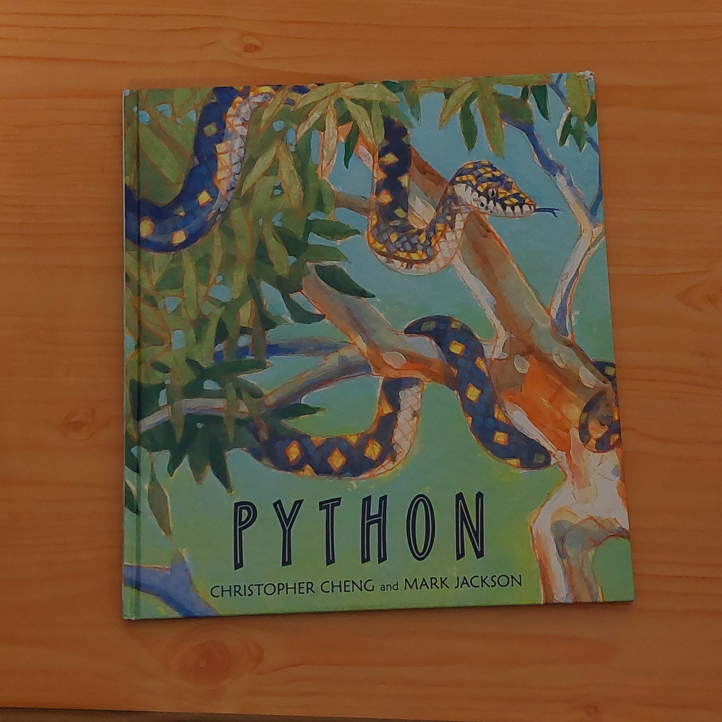 Python