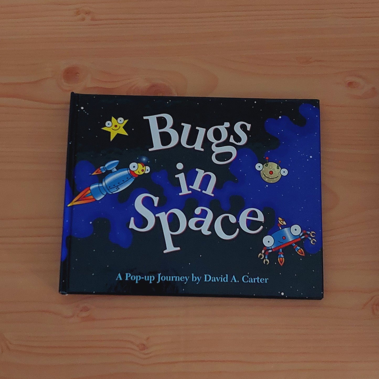 Bugs in Space