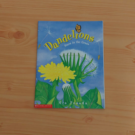 Dandelions - Stars in the Grass