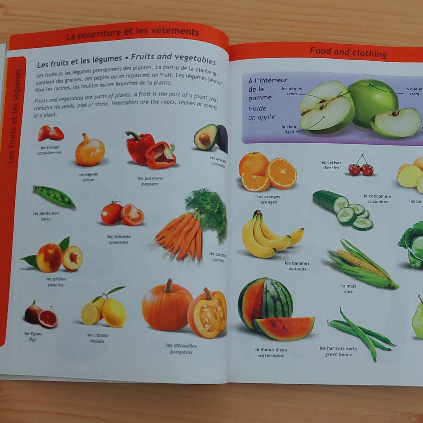 Children's French-English Visual Dictionary