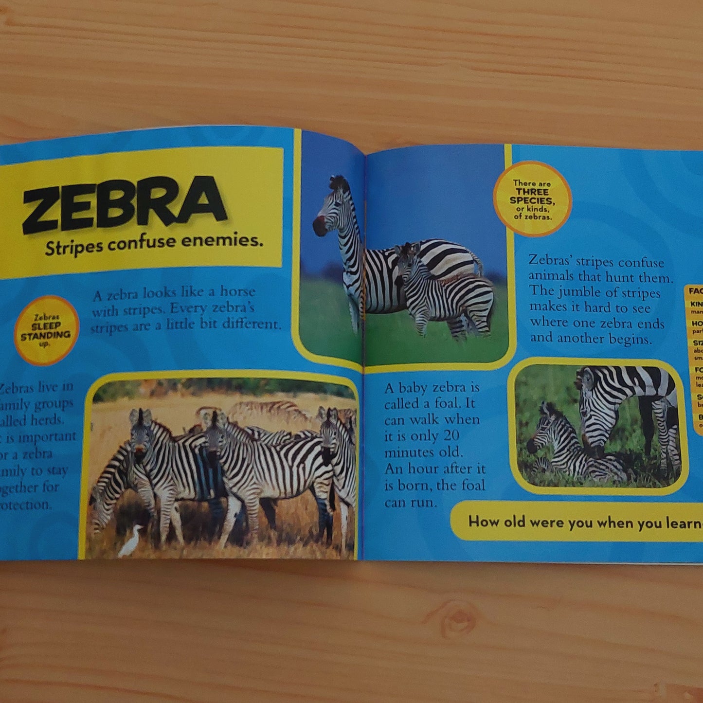 Book of Animals (National Geographic Kids)