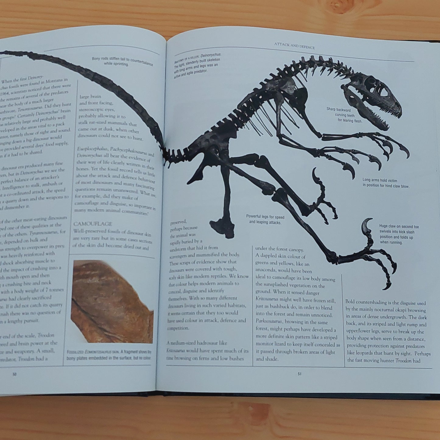 The Natural History Museum Book of Dinosaurs