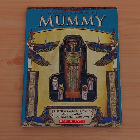 Look Inside an Egyptian Mummy