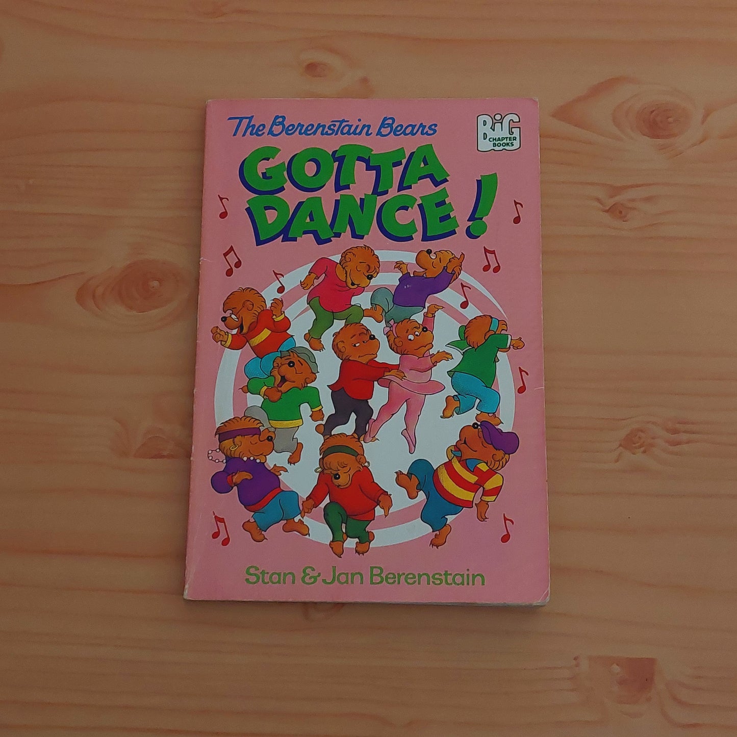 The Berenstain Bears Gotta Dance