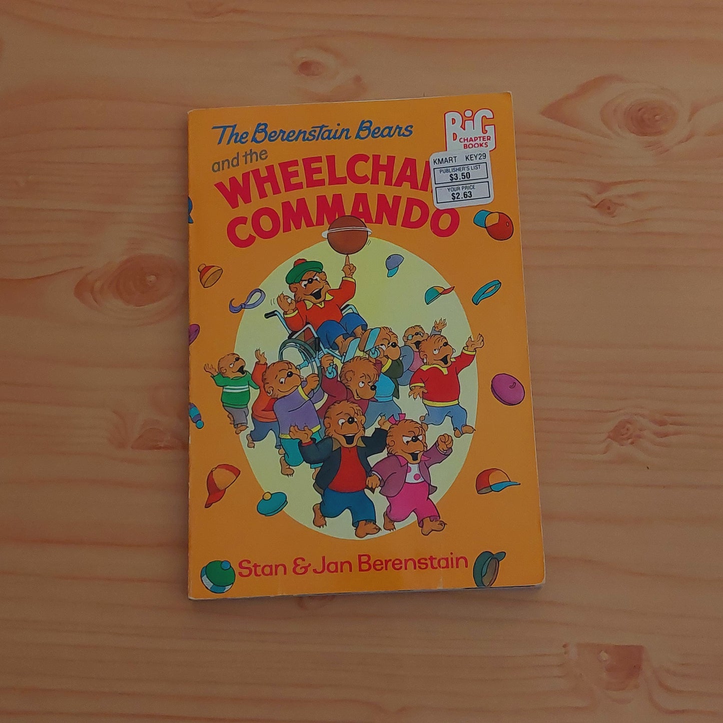 The Berenstain Bears and the Wheelchair Commando