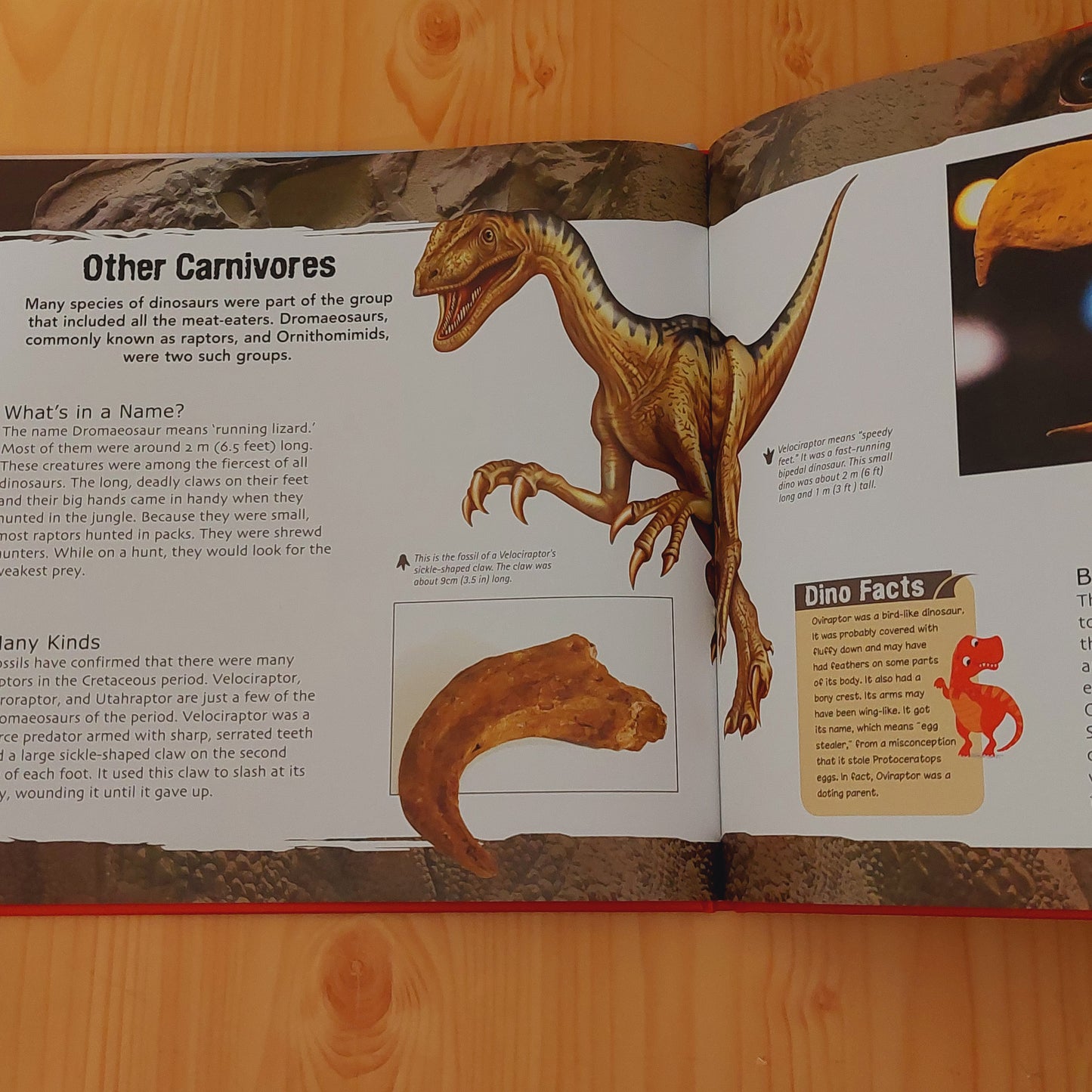 Dinosaurs Reference Book (World of Discovery)