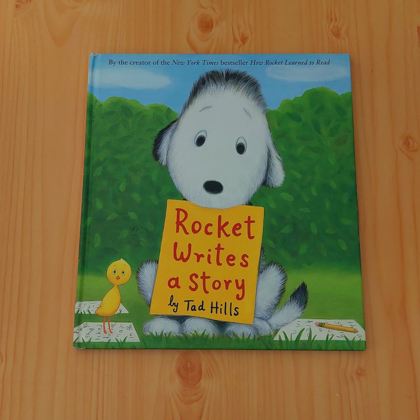 Rocket Writes a Story