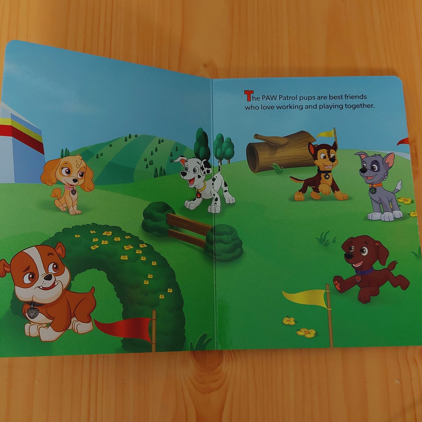 Paw Patrol - Team Rescue