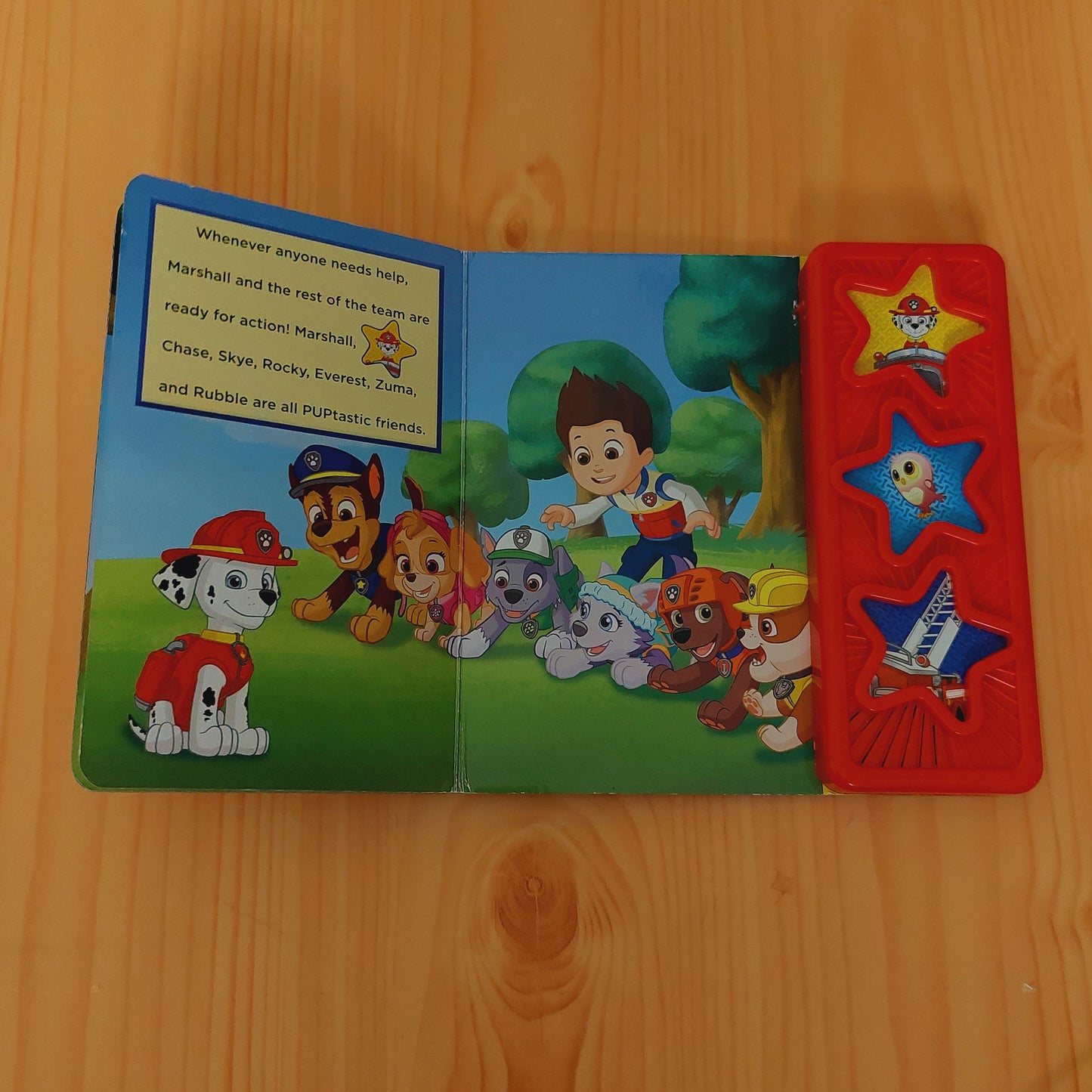 Three Button Star Paw Patrol