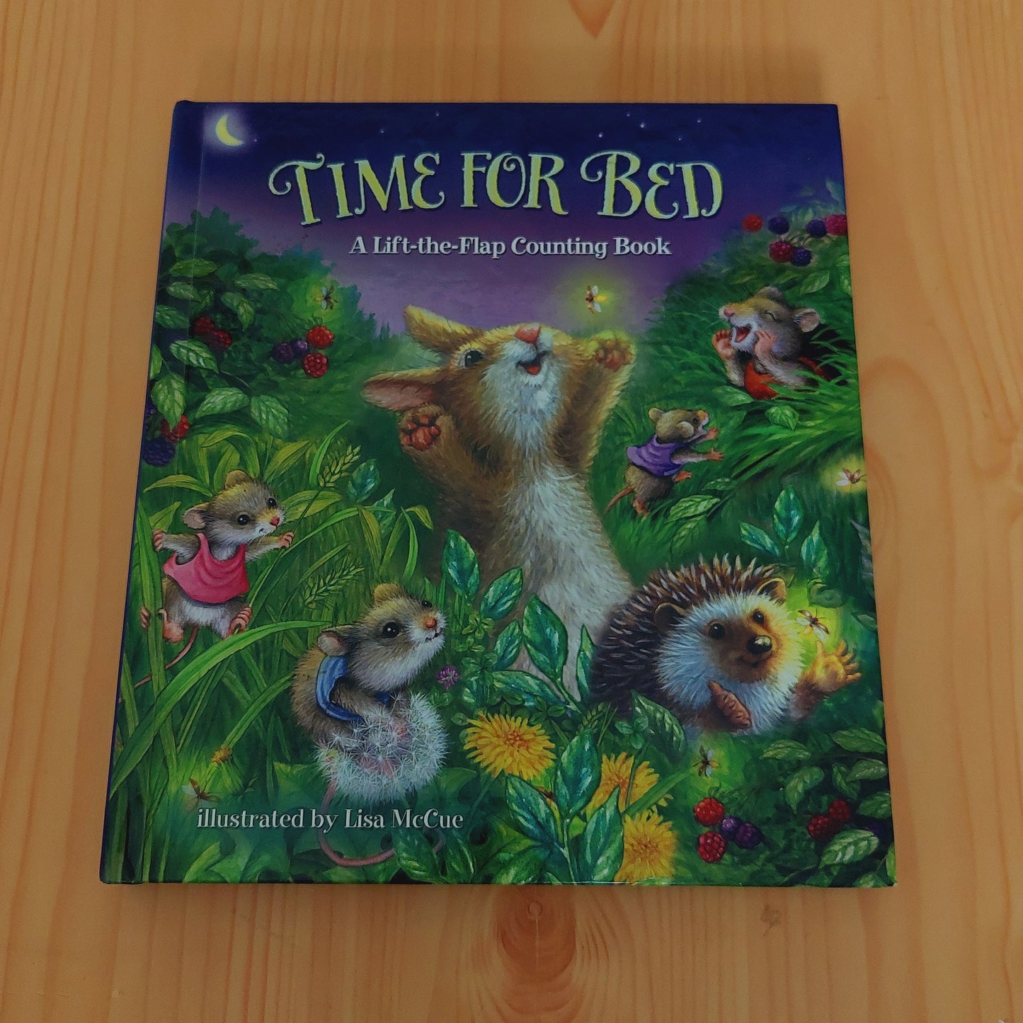 Time for Bed - A Lift-the-Flap Counting Book