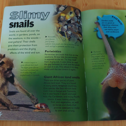 Awesome Animals: Slimy Sliders