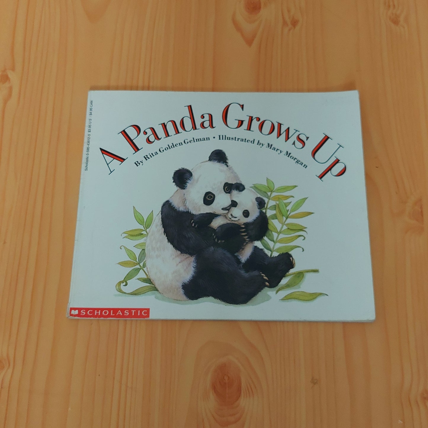 A Panda Grows Up