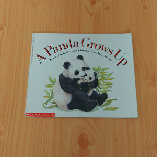 A Panda Grows Up