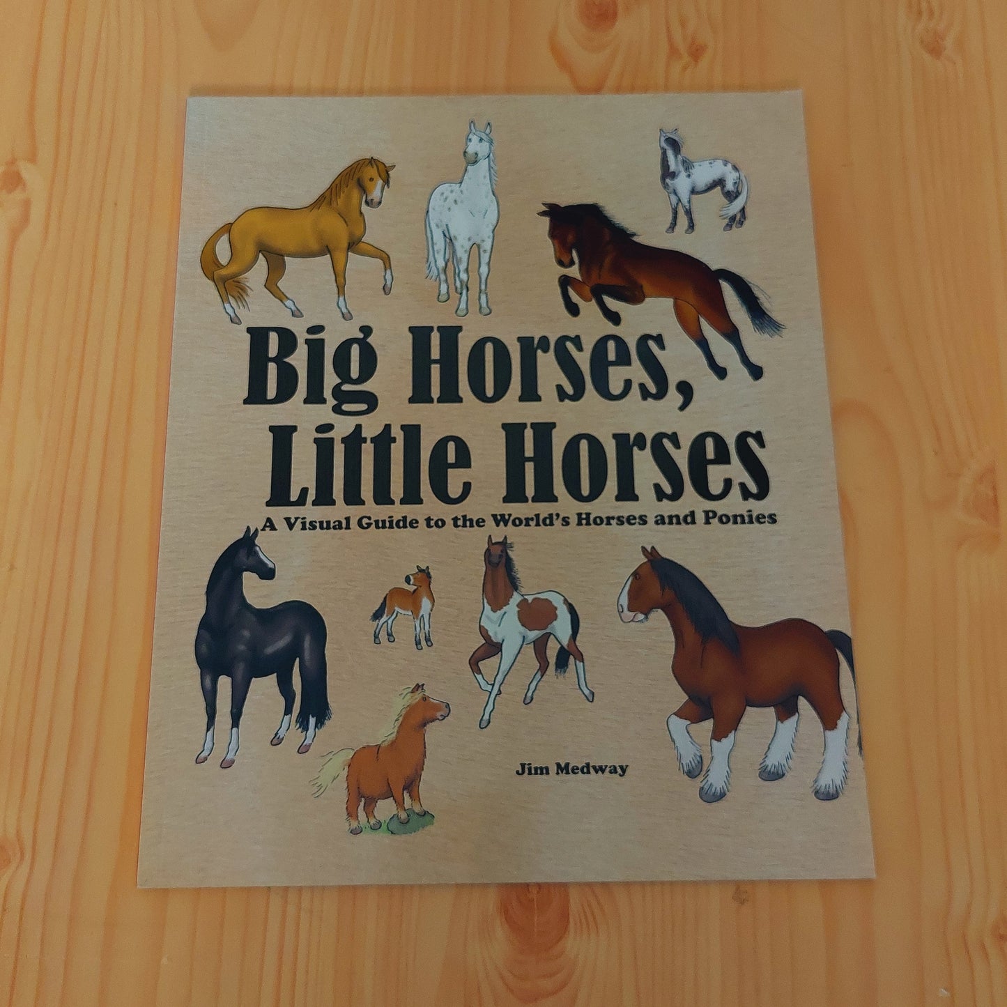 Big Horses, Little Horses