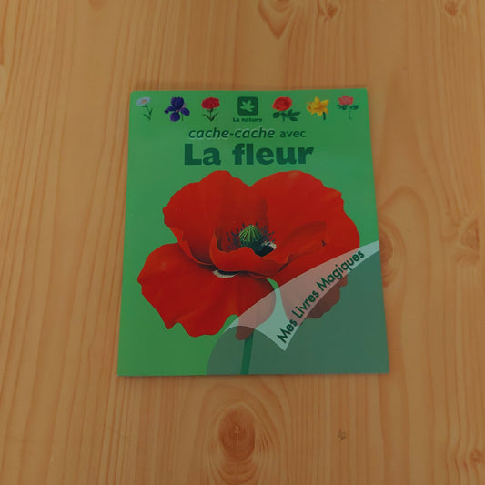 Cache-cache avec la fleur