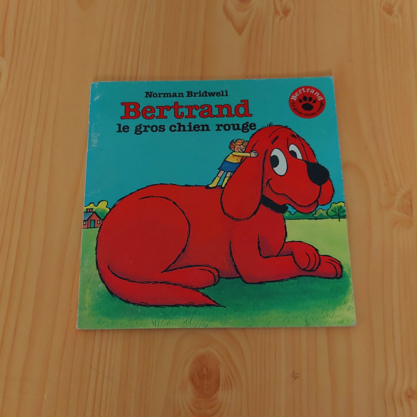 Bertrand le gros chien rouge