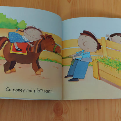 Je choisis un ami (Je veux lire)