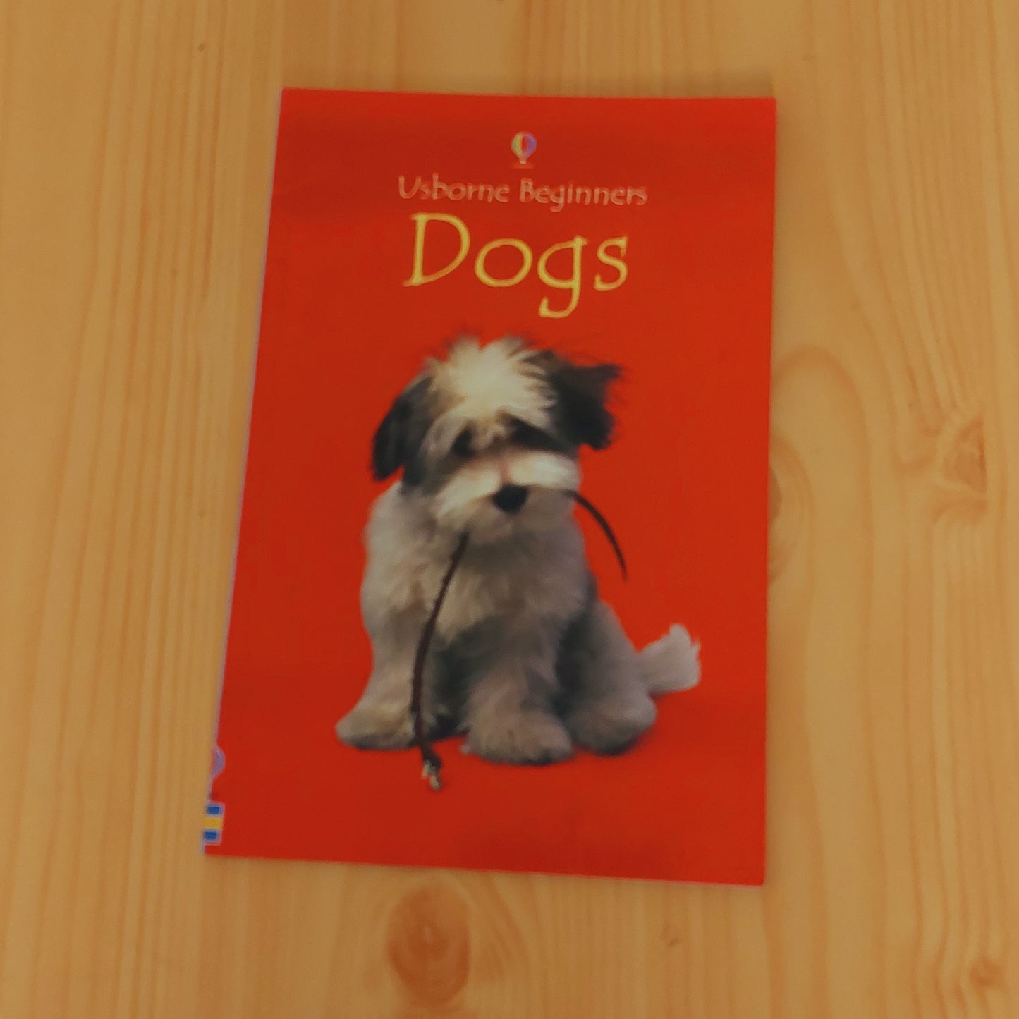 Dogs (Usborne Beginners)